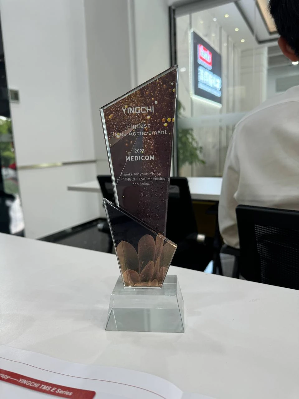Награда YINGCHI Highest Sales Achievement 2023
