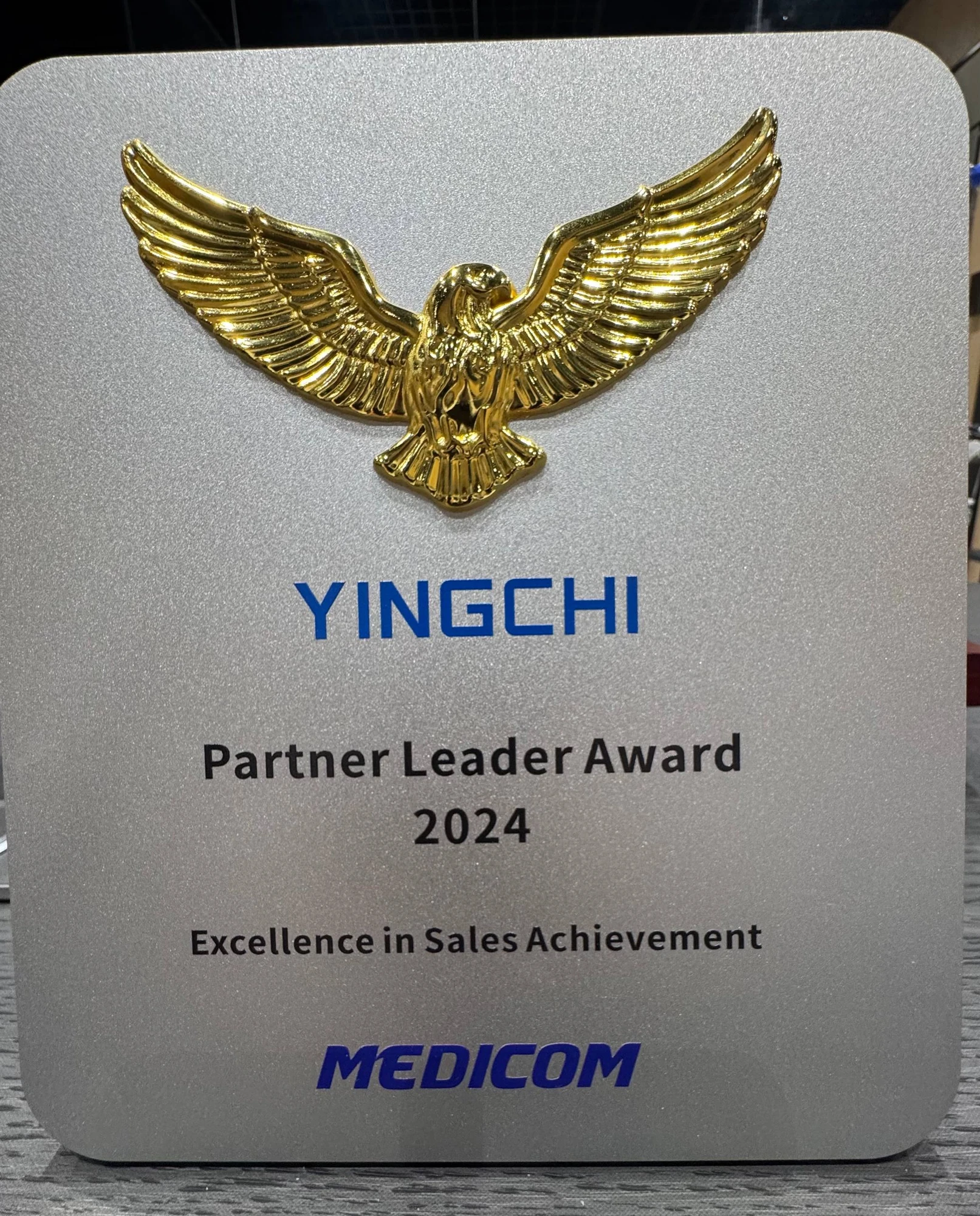 Награда YINGCHI Partner Leader Award 2024
